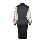 Solid Sheer Mesh Embroidery Puff Long Sleeve Evening, Party, Club Dress, Women Elegant Office