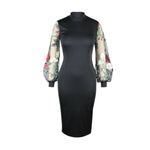 Solid Sheer Mesh Embroidery Puff Long Sleeve Evening, Party, Club Dress, Women Elegant Office