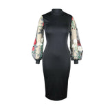 Solid Sheer Mesh Embroidery Puff Long Sleeve Evening, Party, Club Dress, Women Elegant Office